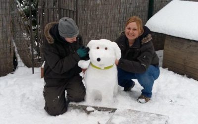 Außergewöhnlicher Hundebesuch!