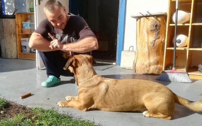 Ein Brief von Idefix